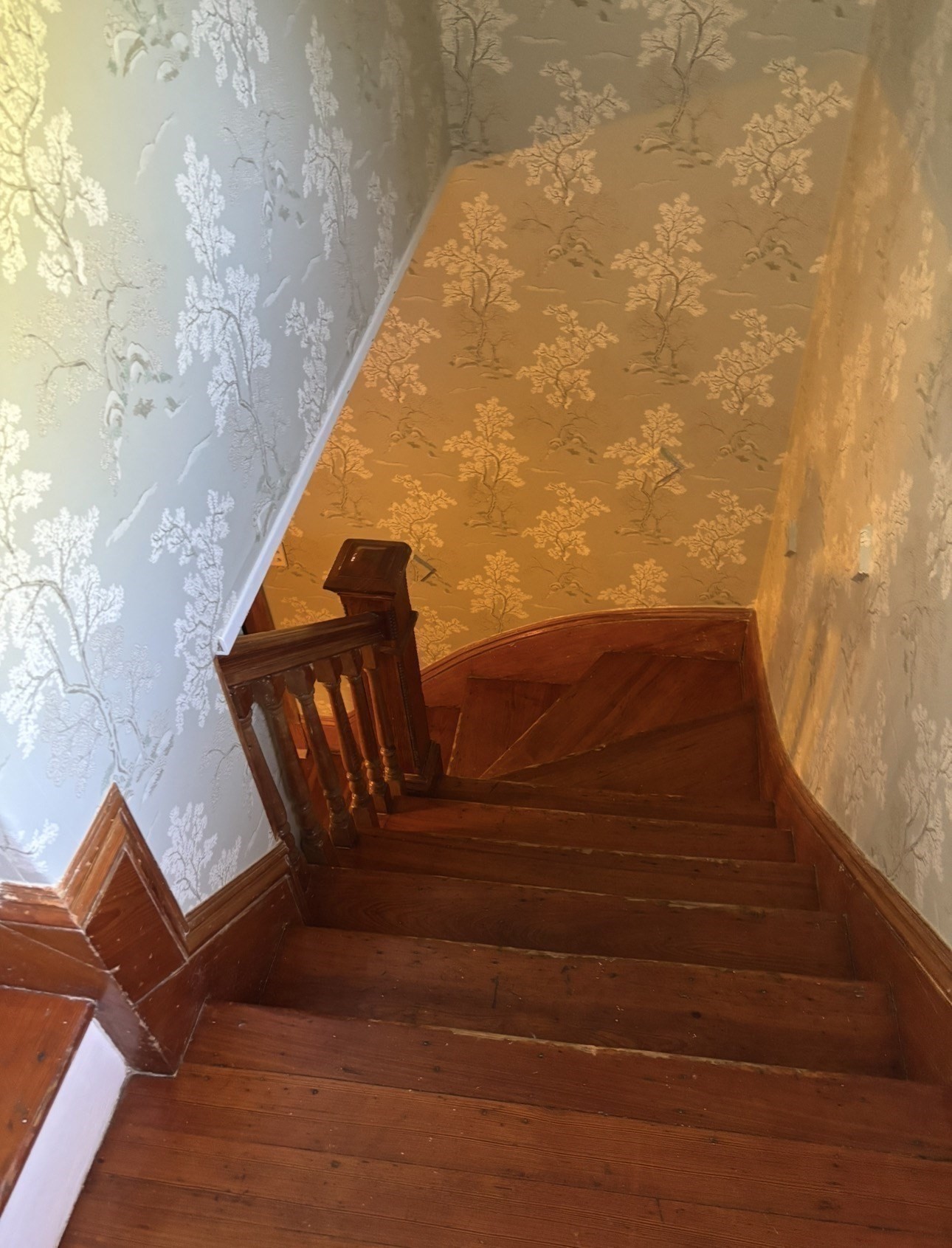 13 Moulton St Property Photo 12