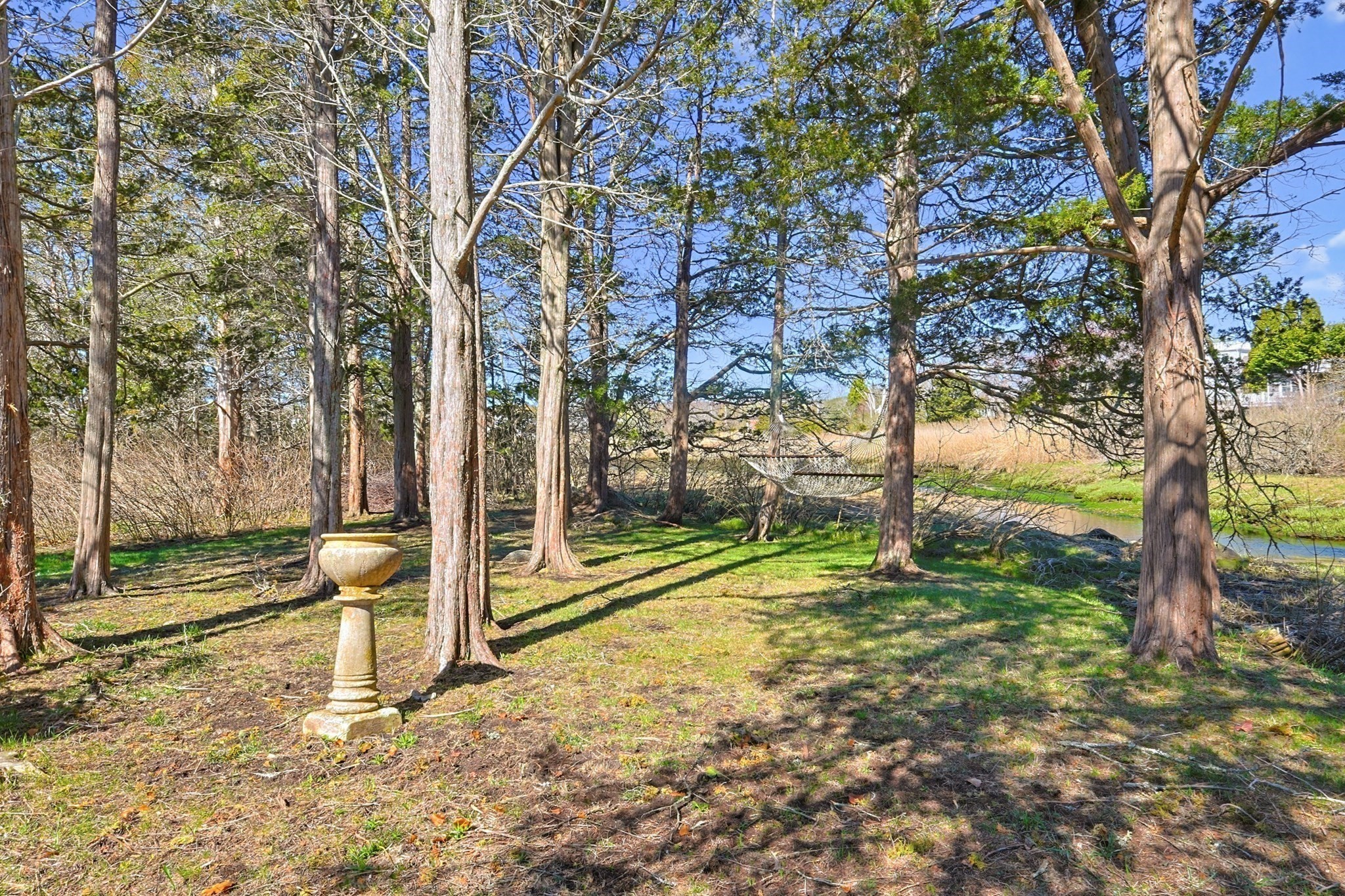 11 Stoney Brook Ln Property Photo 6