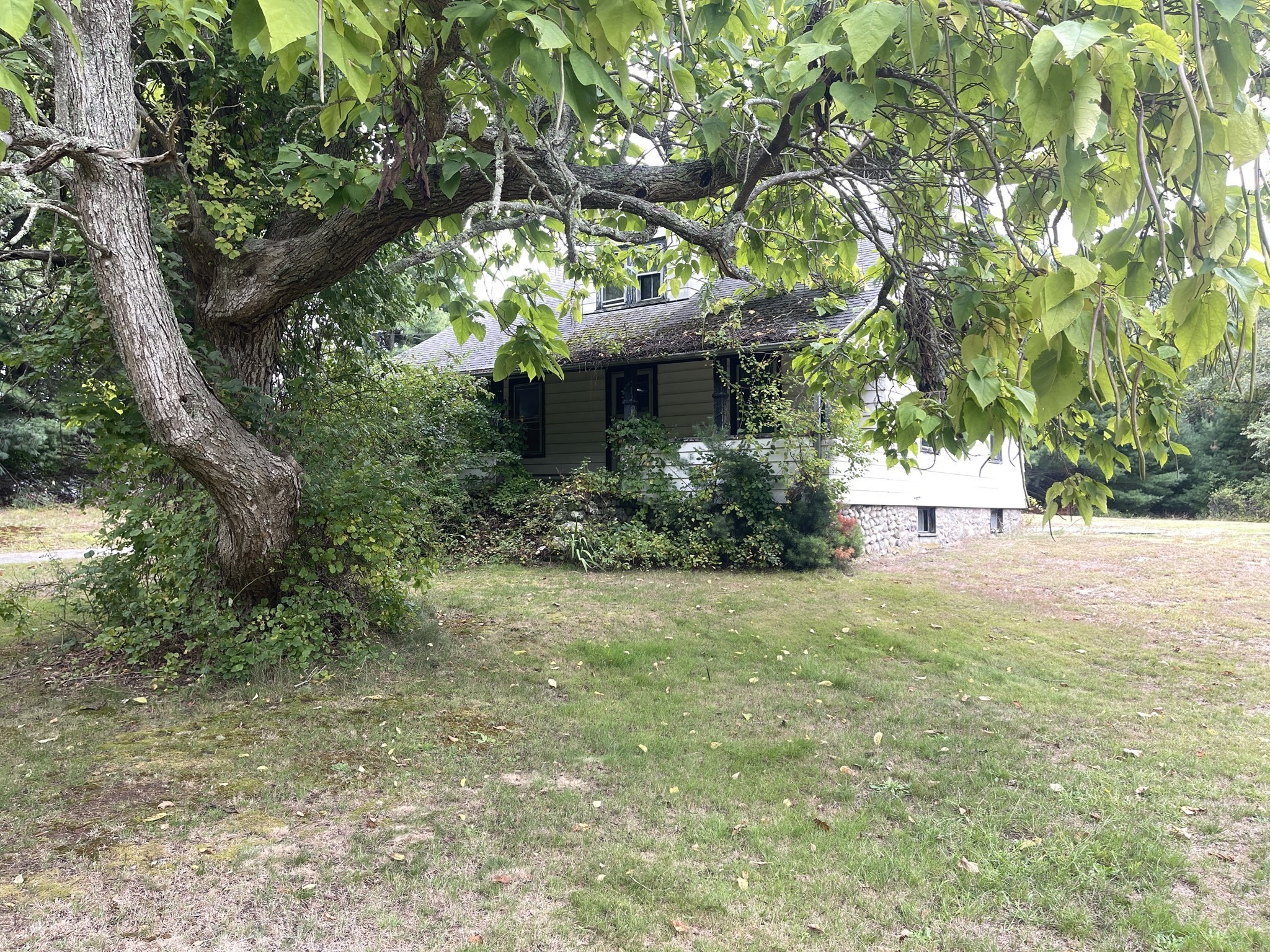 23 Taunton Street Property Photo 2