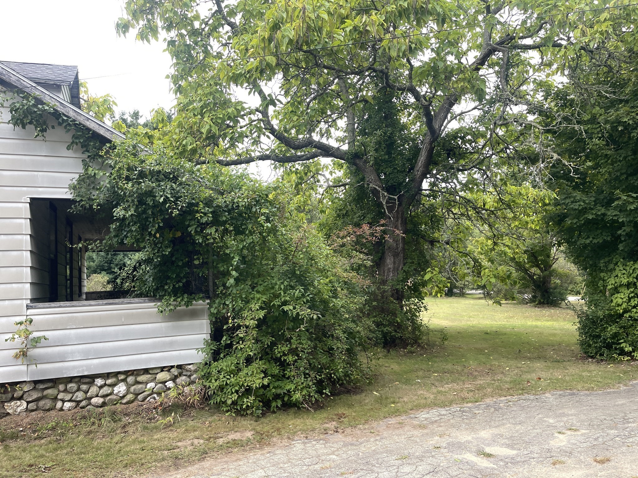 23 Taunton Street Property Photo 3