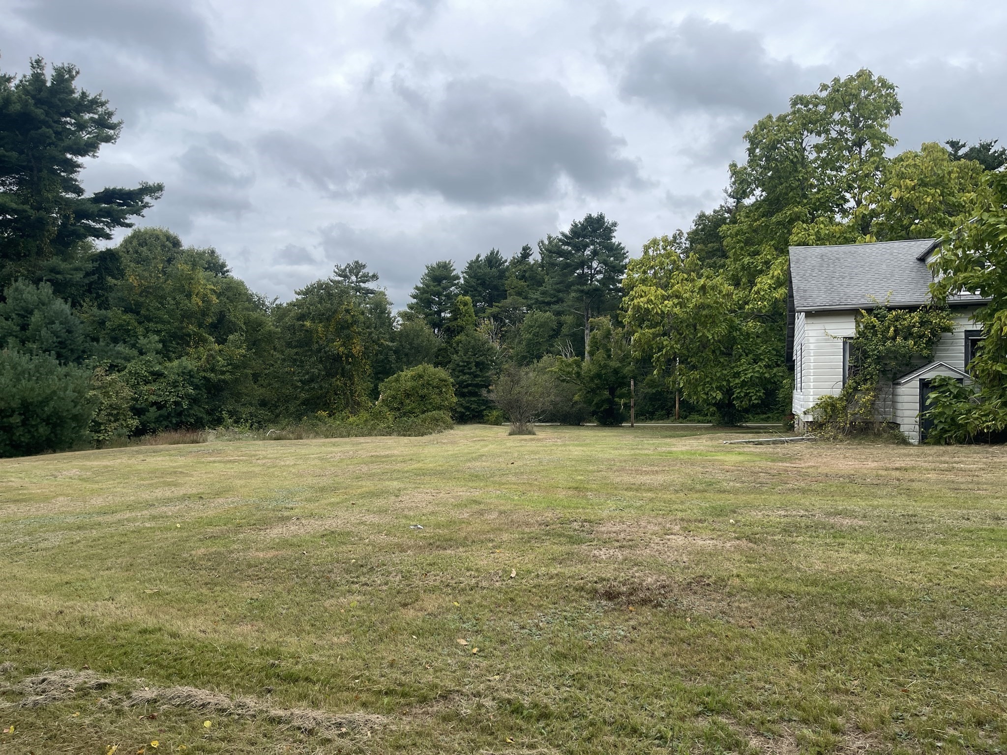 23 Taunton Street Property Photo 4