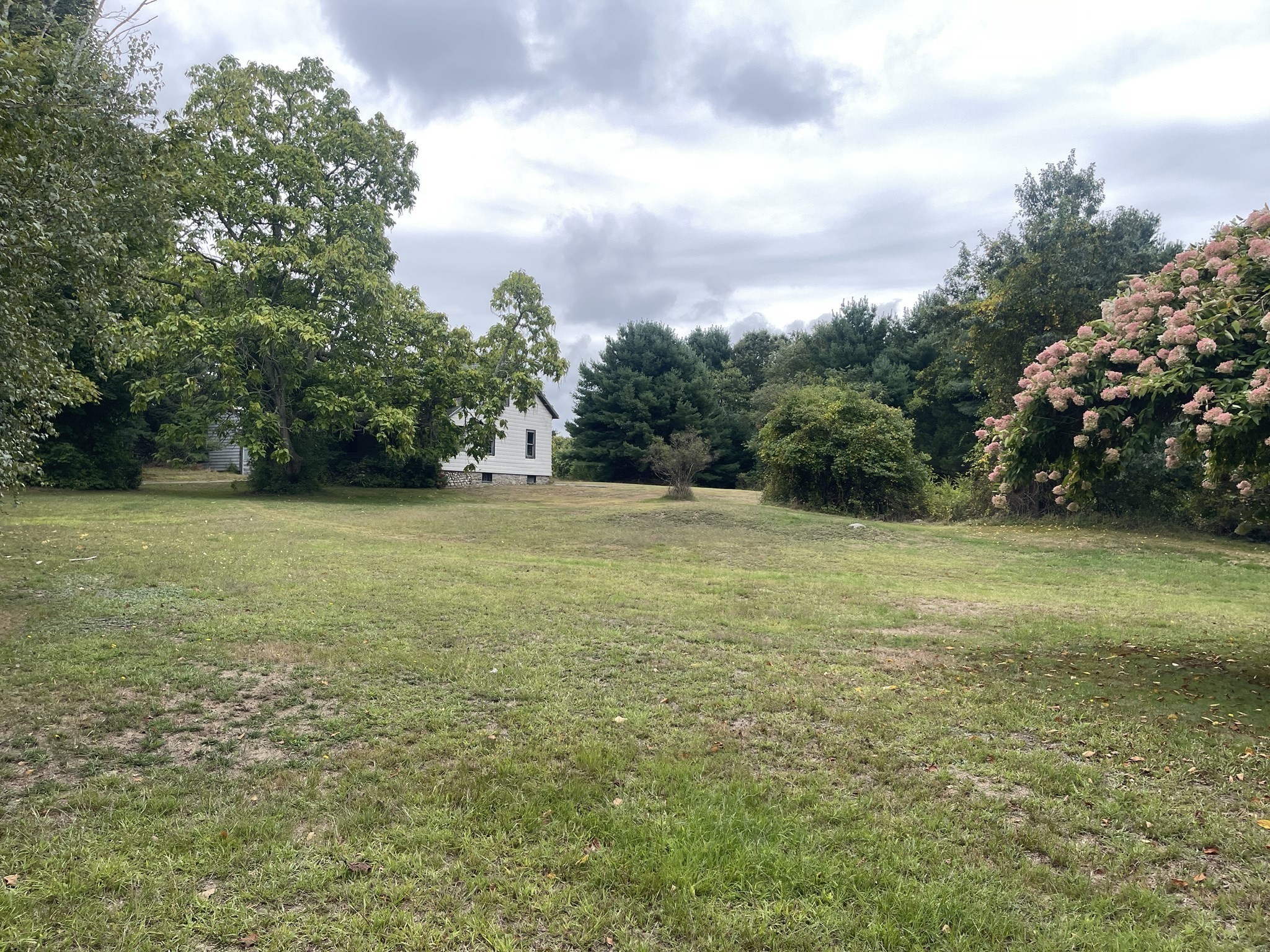 23 Taunton Street Property Photo 5