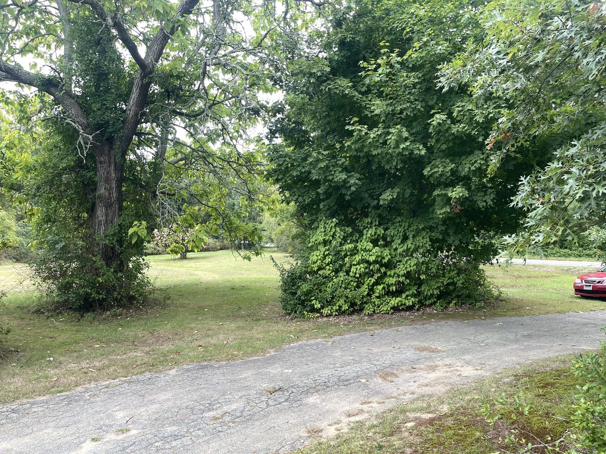 23 Taunton Street Property Photo 7