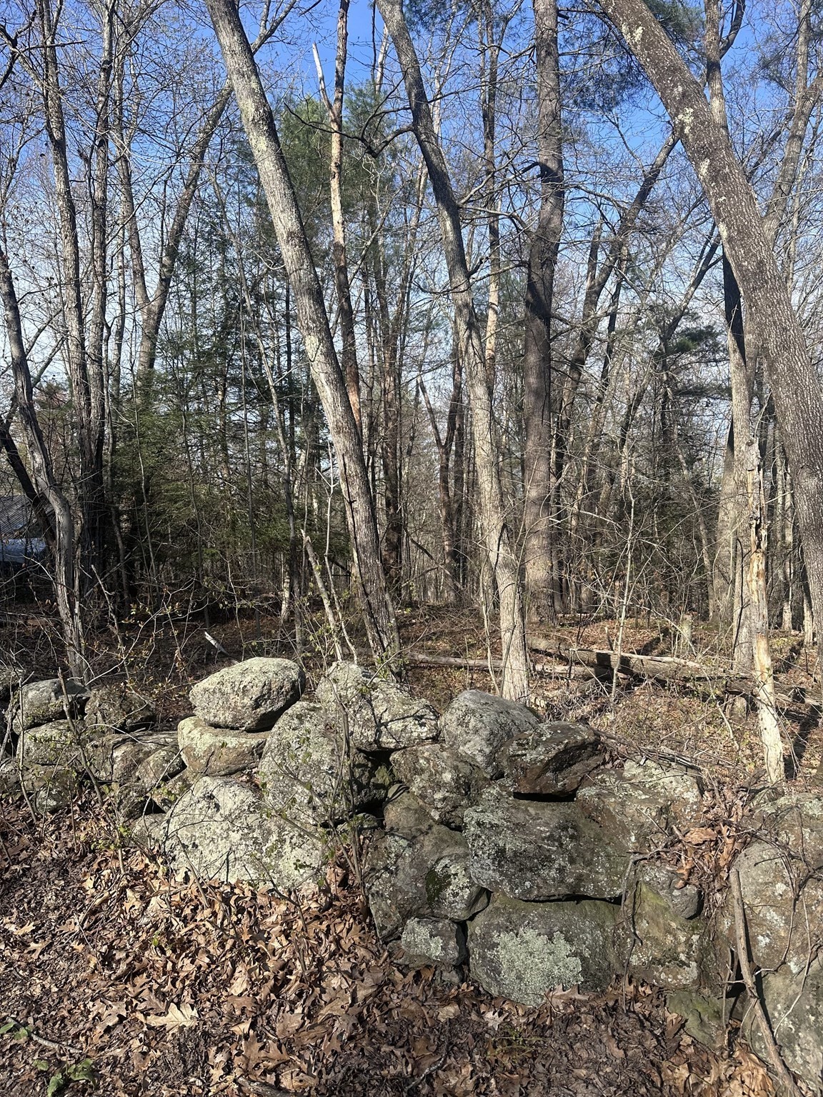 0 Cutler Road Property Photo 1