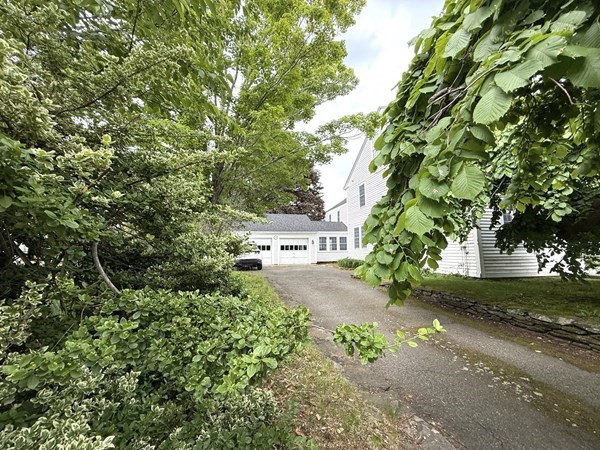 82 Petersham Rd Property Photo 4