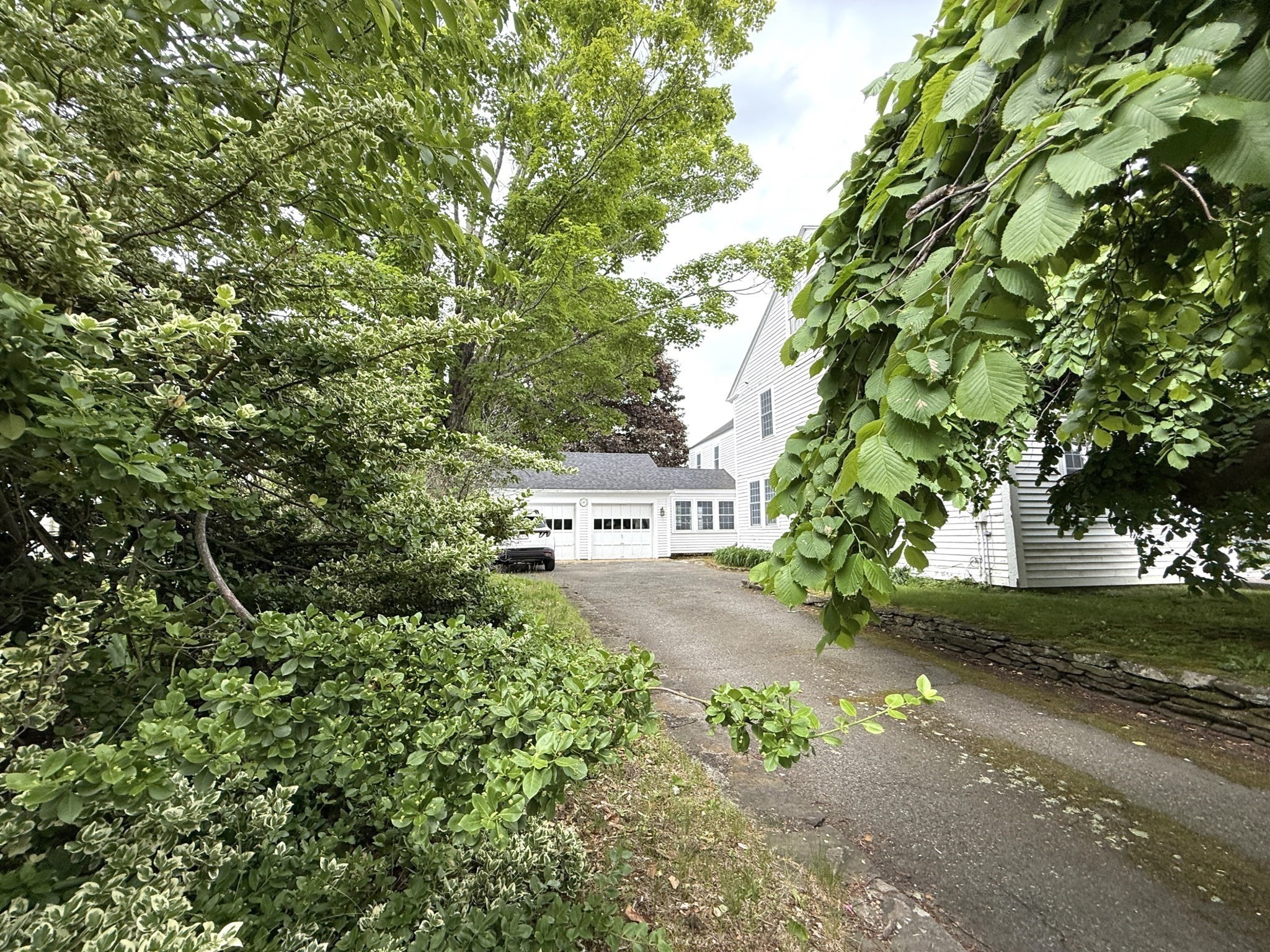 82 Petersham Rd Property Photo 5