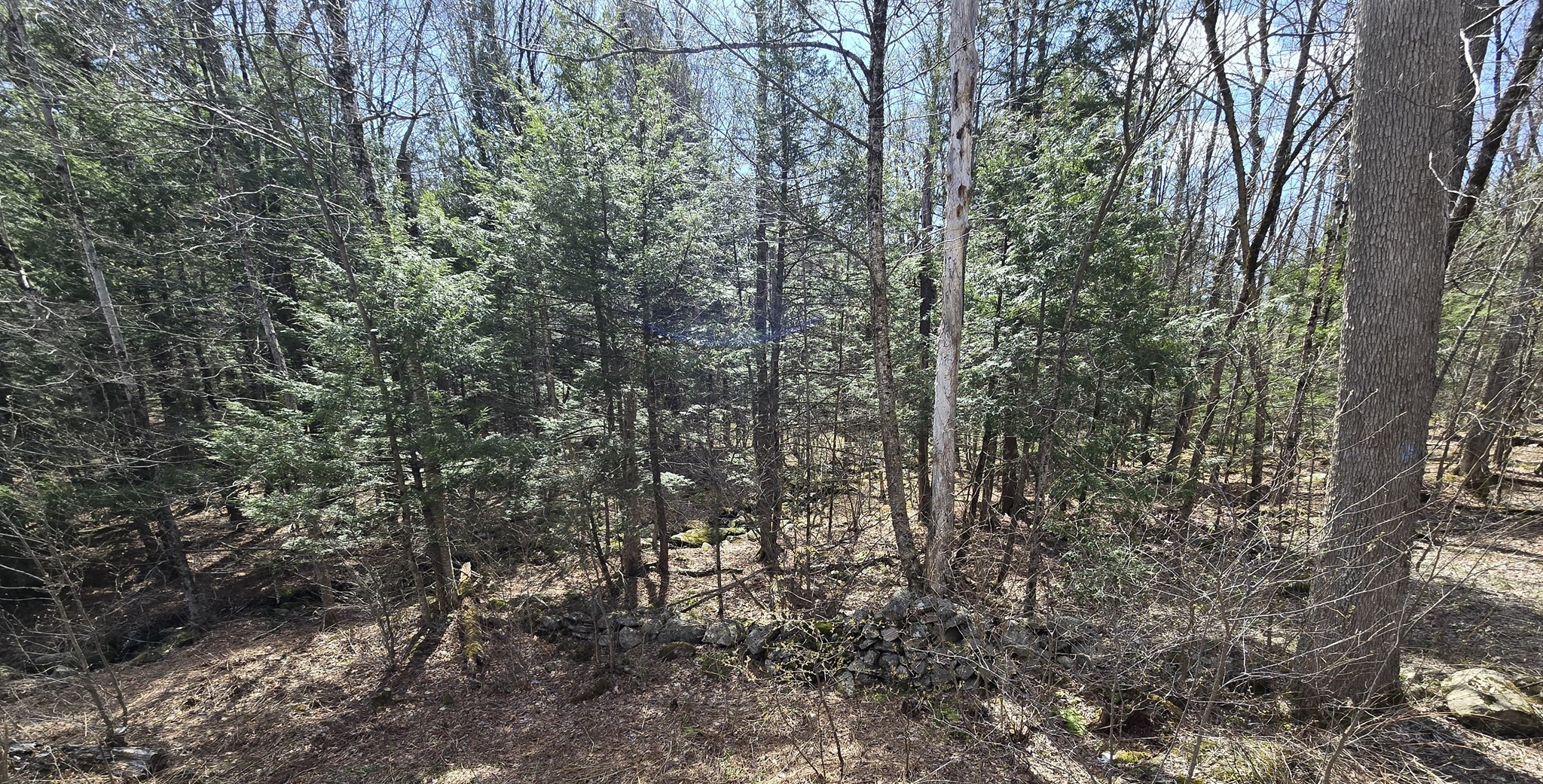 360 Jacob's Ladder Rd. Property Photo 1
