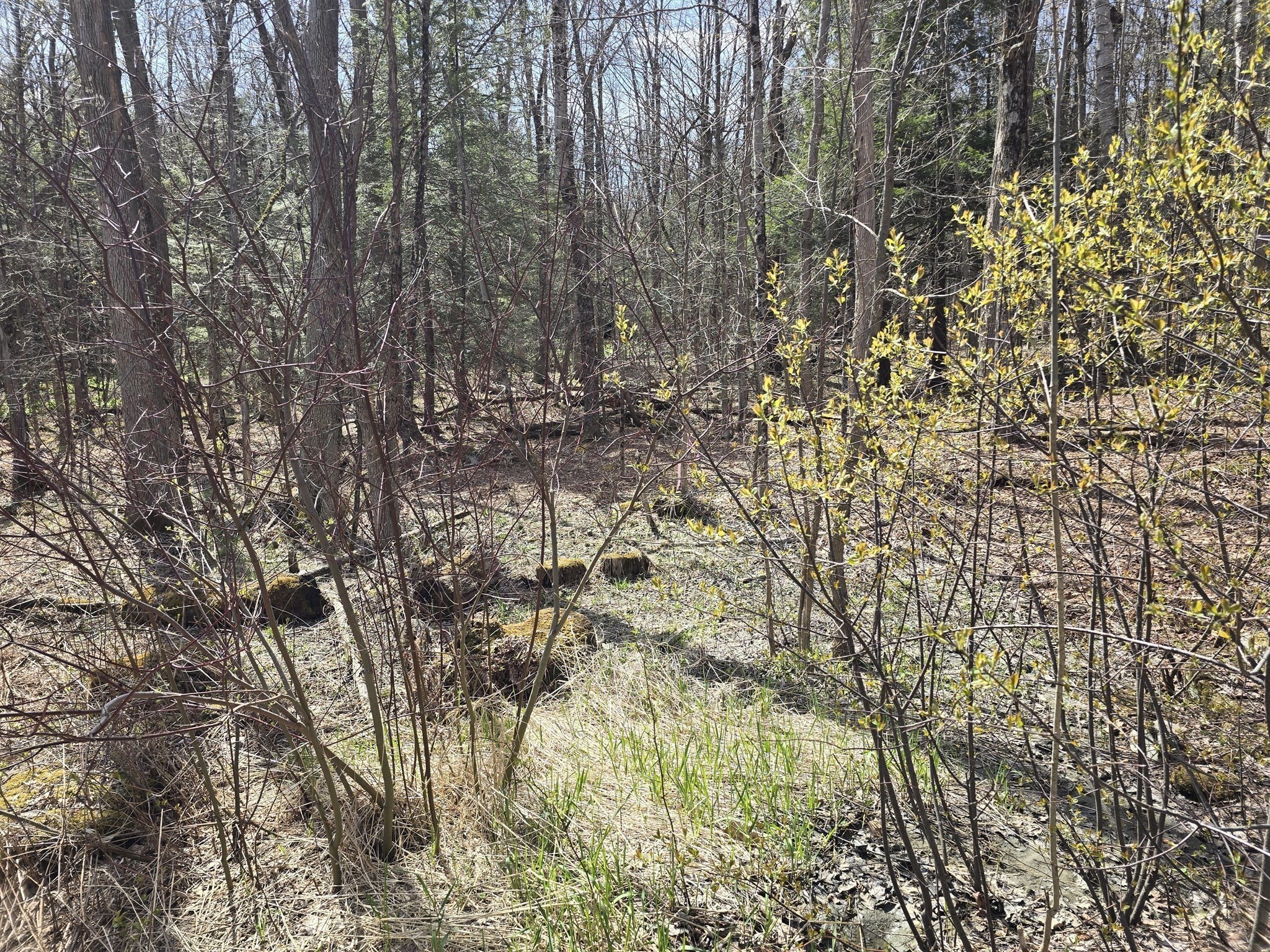 360 Jacob's Ladder Rd. Property Photo 4