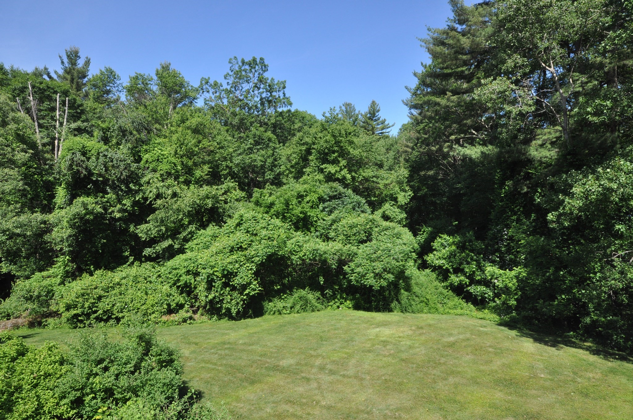 9 Breezy Point Rd Property Photo 42