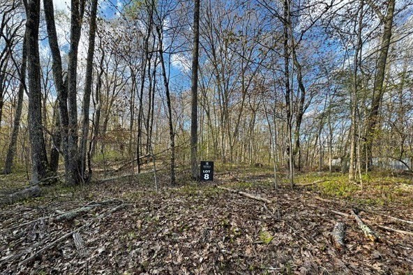 Lot 8 Gould Road Property Photo 2