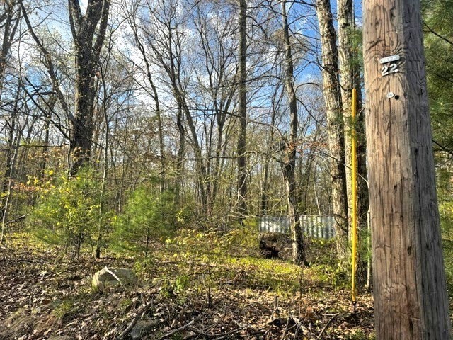 Lot 8 Gould Road Property Photo 3