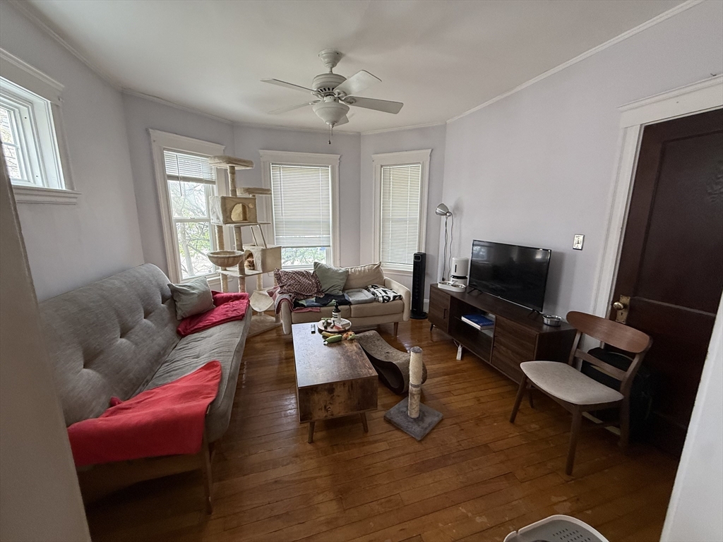 29 Lewis # 1 Property Photo 5