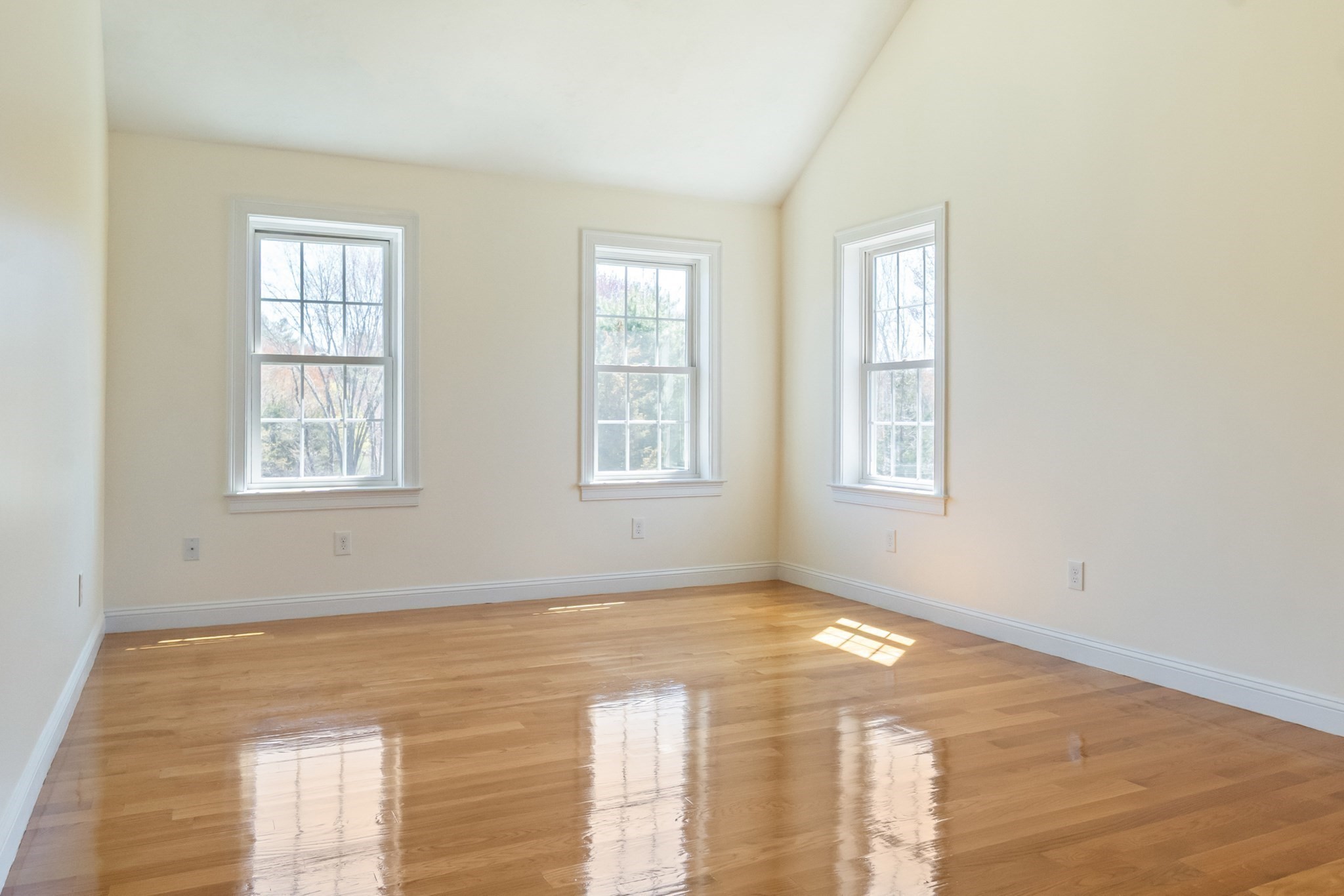 221 Chestnut St Property Photo 16