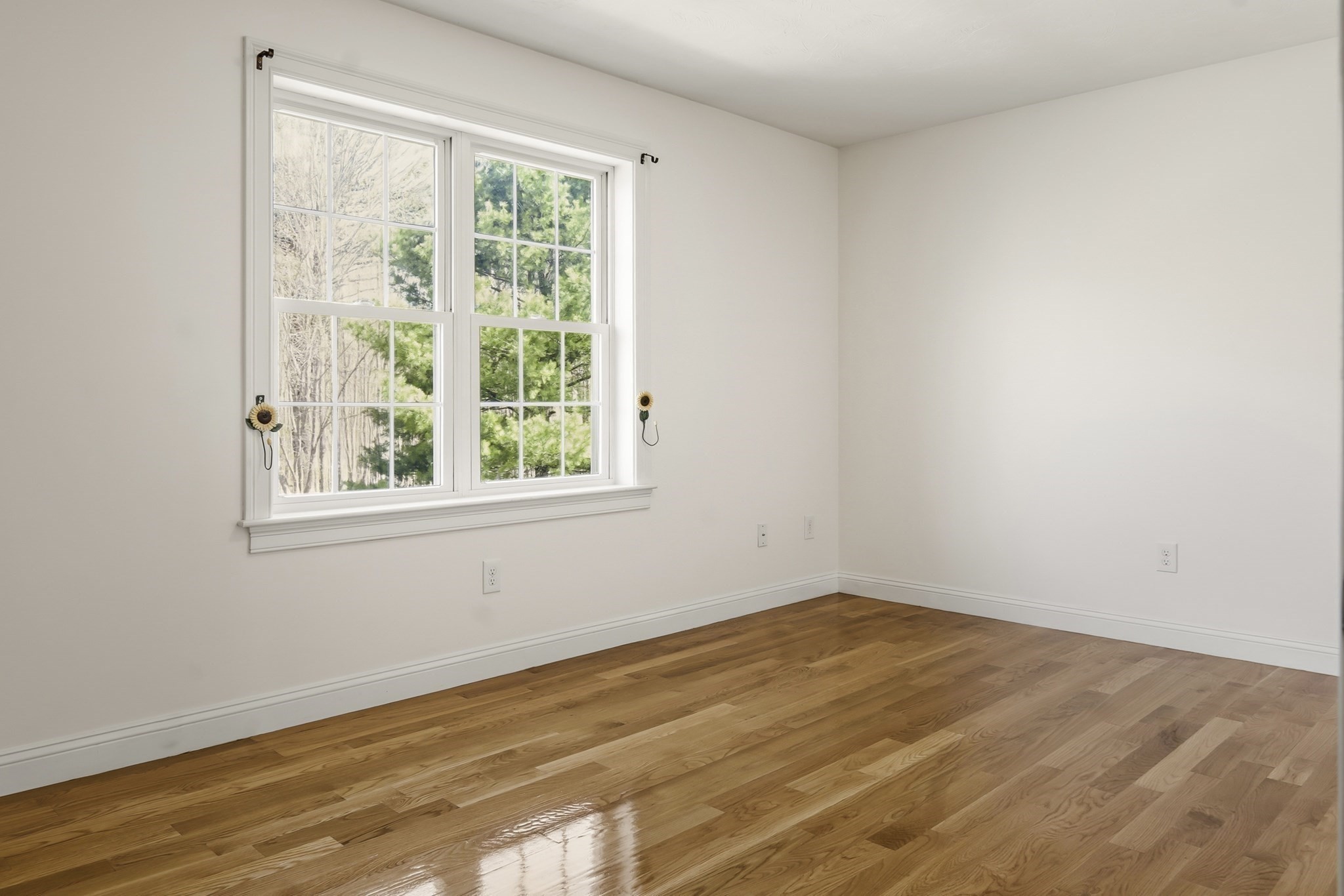 221 Chestnut St Property Photo 20