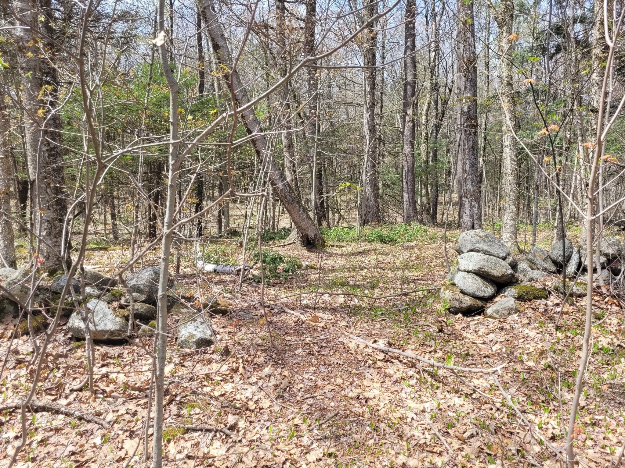 Lot 3 Town Hill Rd Property Photo 1