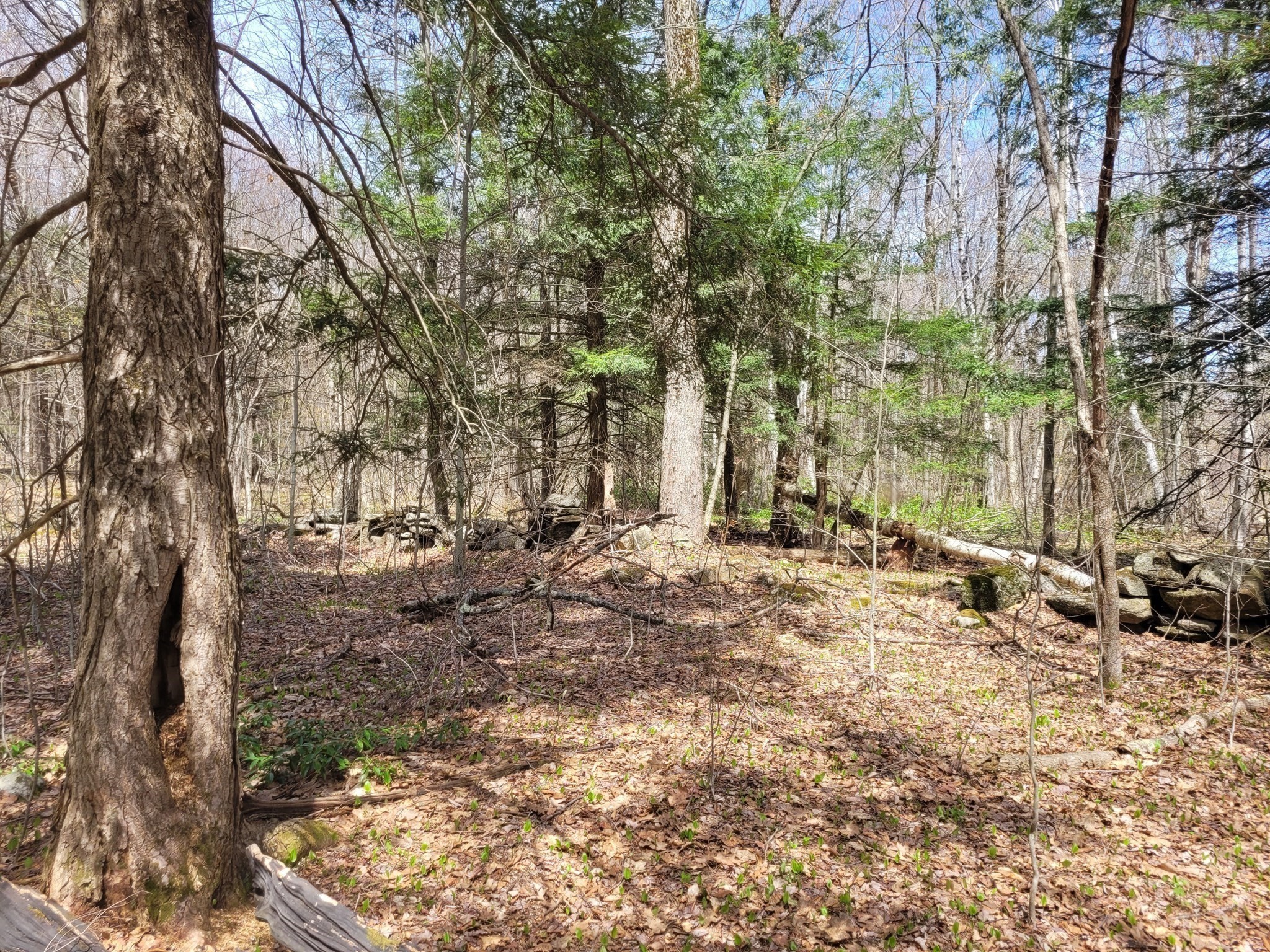 Lot 3 Town Hill Rd Property Photo 9