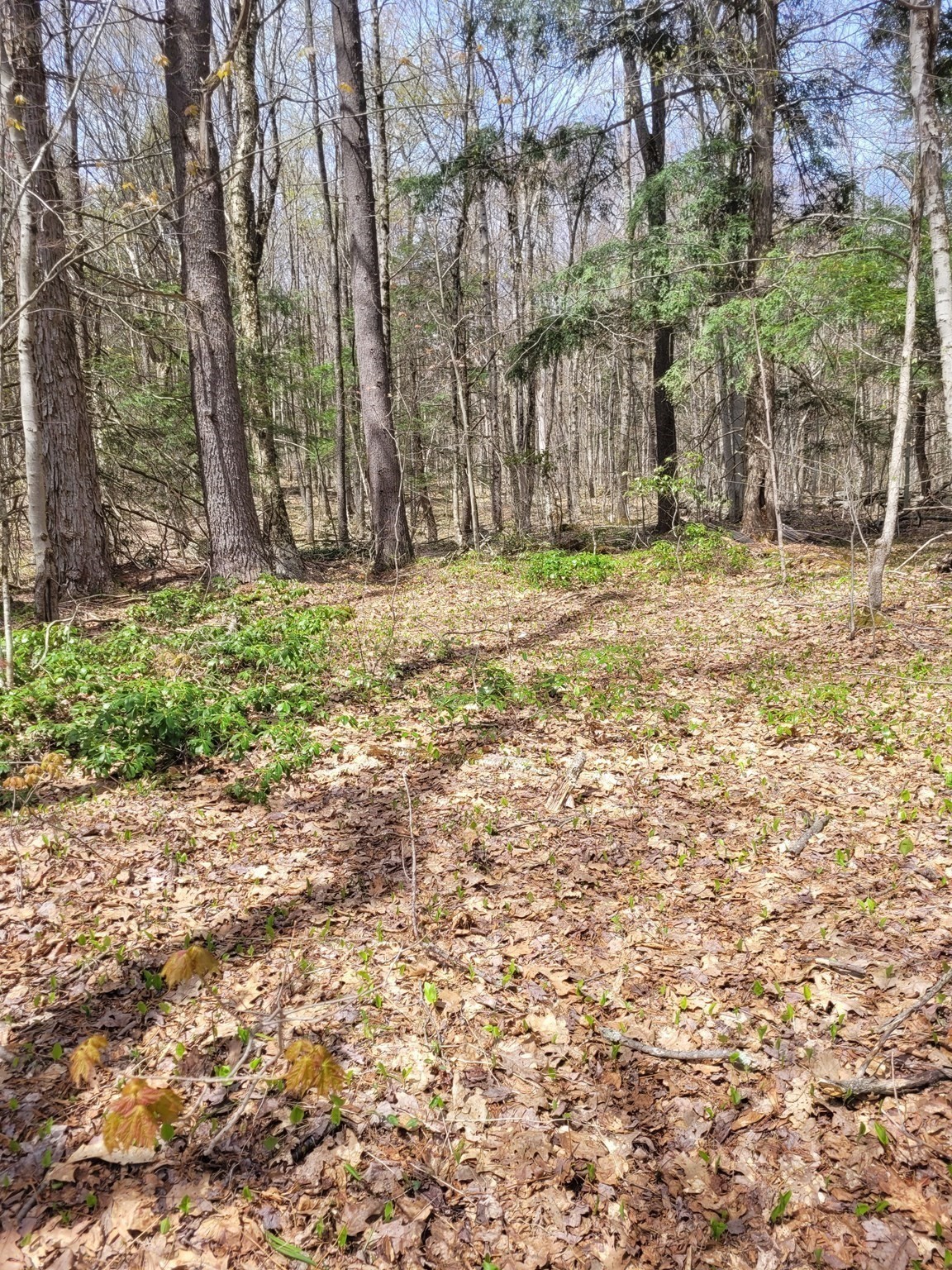 Lot 3 Town Hill Rd Property Photo 11