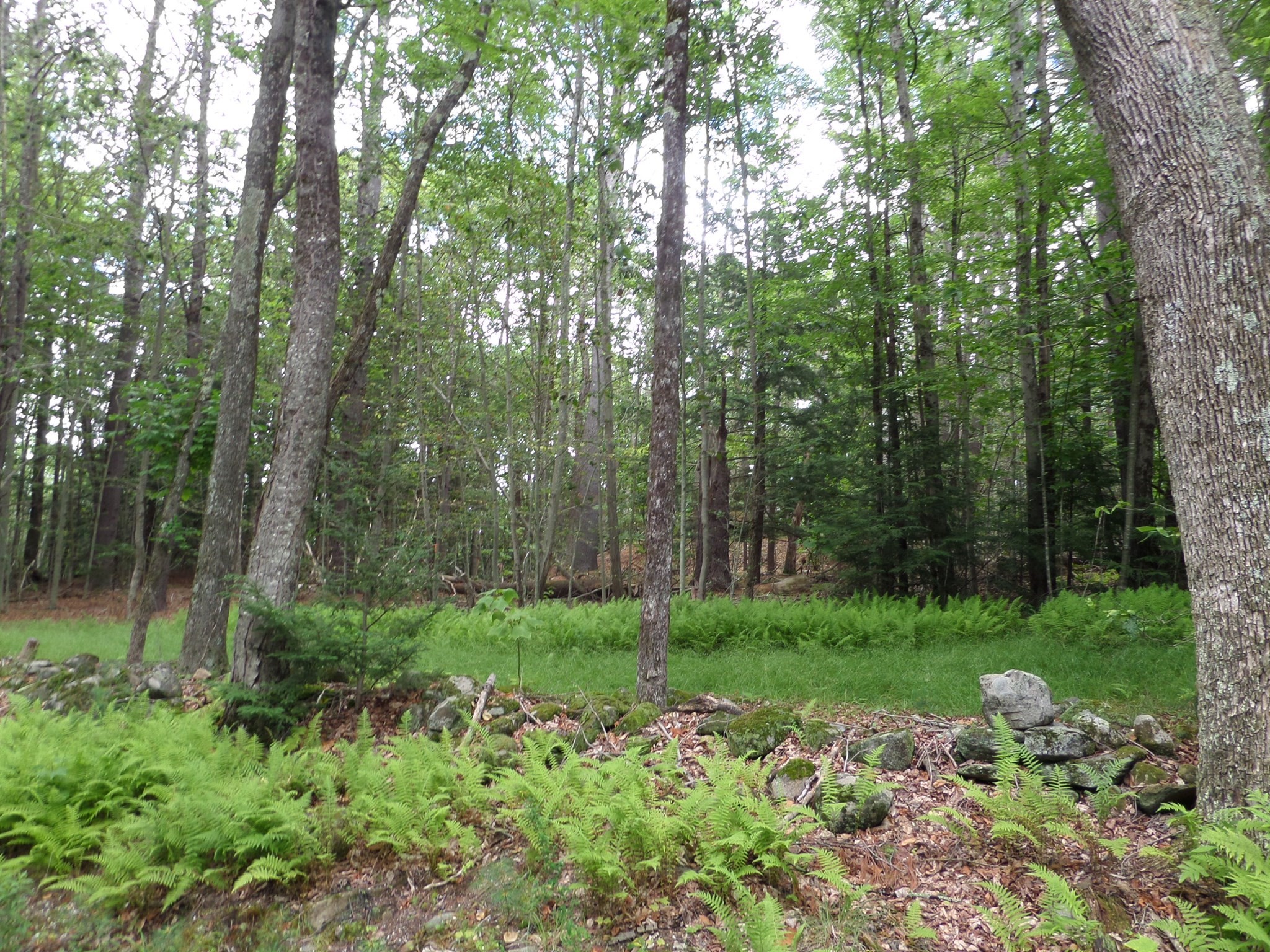 0 Pynchon Rd Property Photo 1