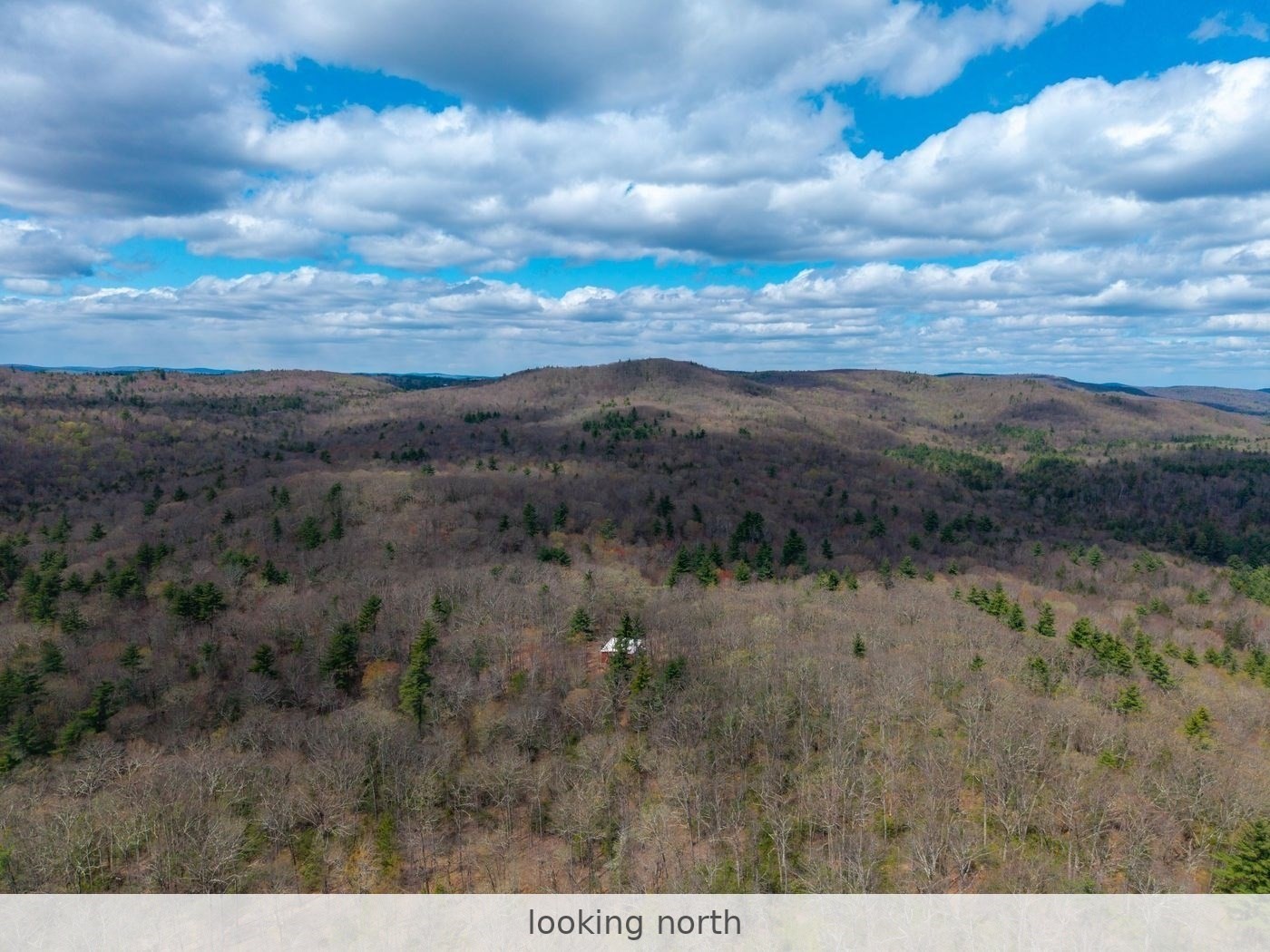 291 Fomer Road Property Photo 8