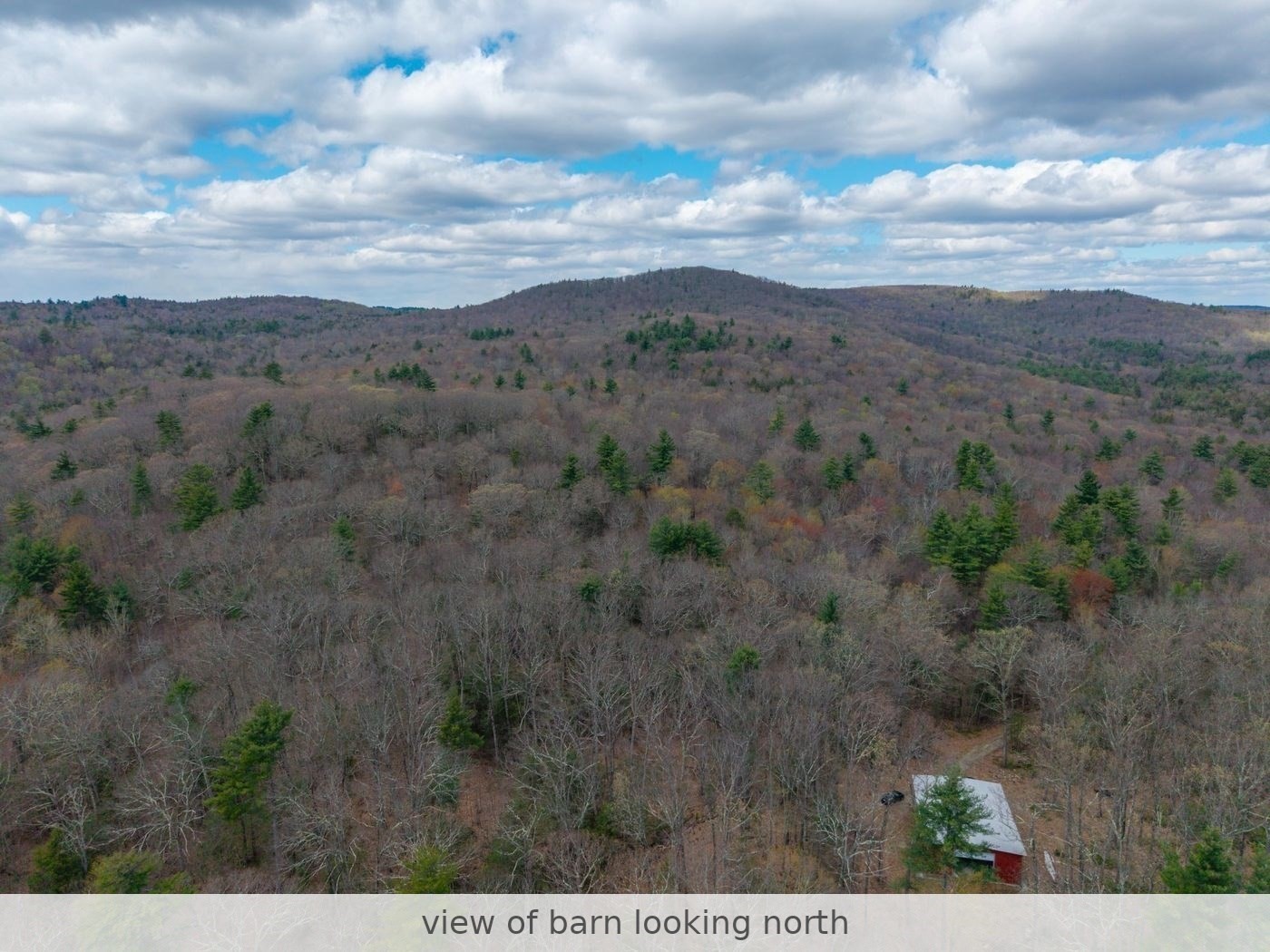 291 Fomer Road Property Photo 11