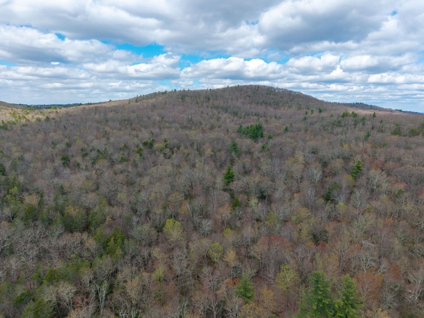 291 Fomer Road Property Photo 13
