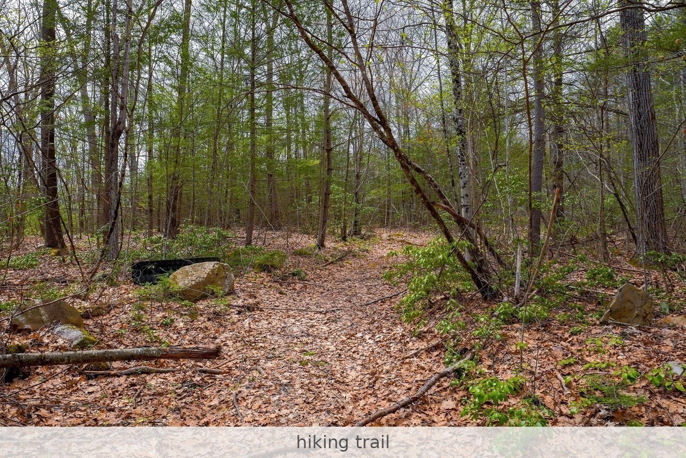291 Fomer Road Property Photo 16