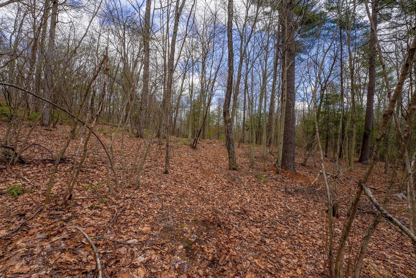 291 Fomer Road Property Photo 17