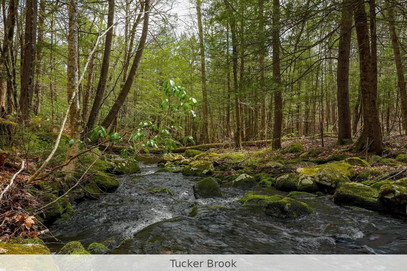 291 Fomer Road Property Photo 20