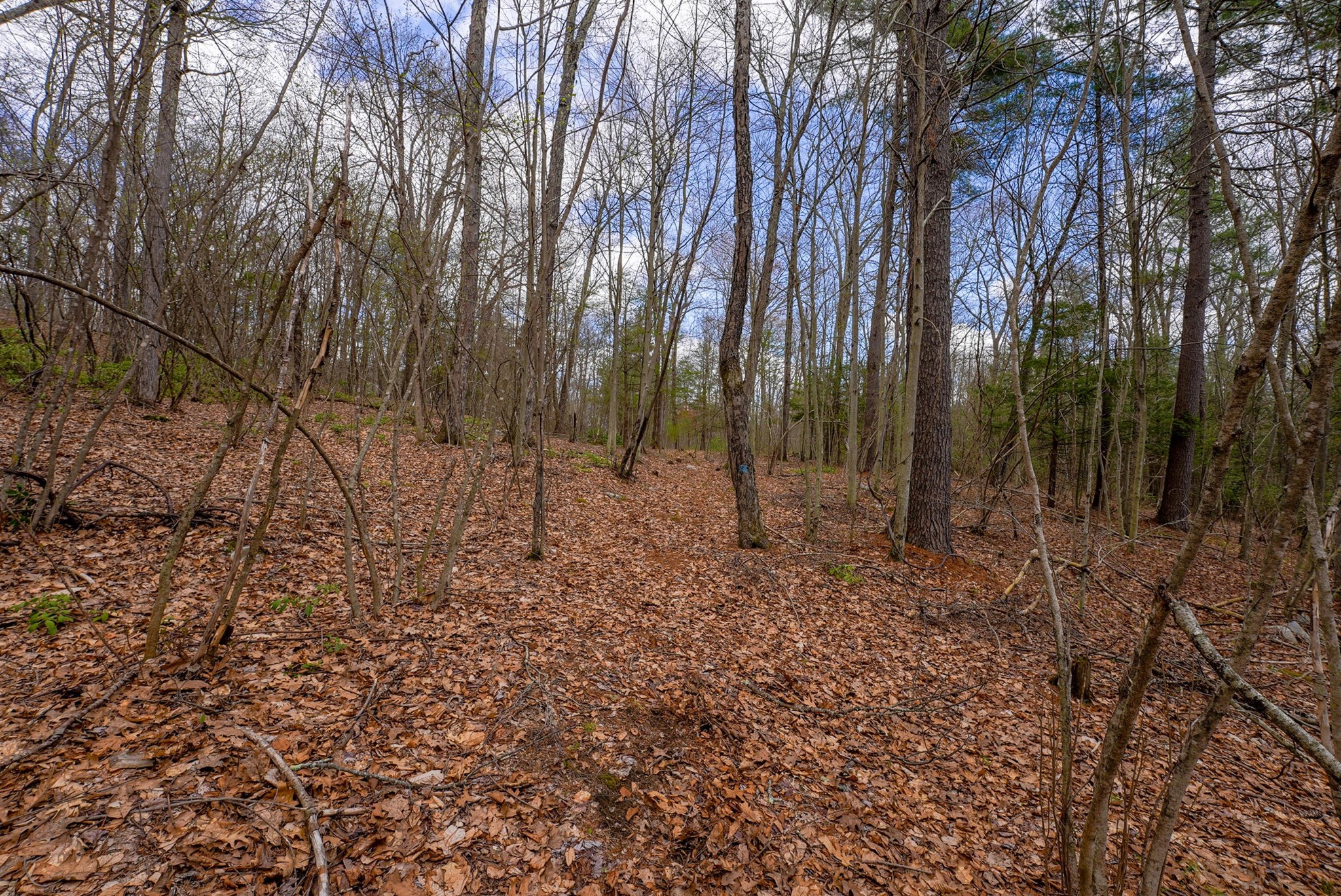 291 Fomer Road Property Photo 35