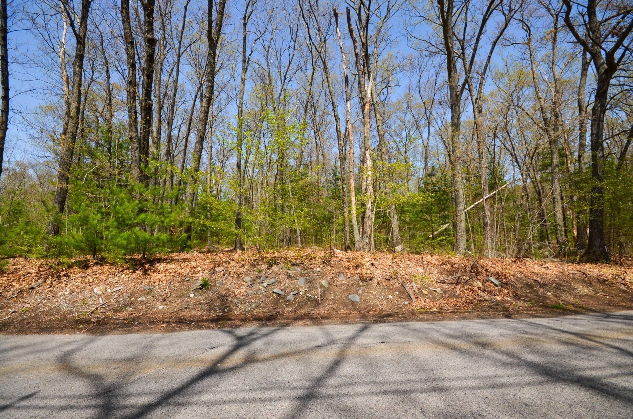 69 East St Property Photo 12