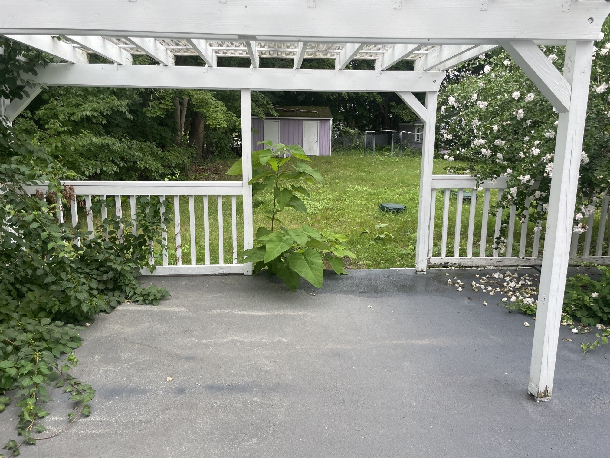86 Elm Street # 1 Property Photo 10
