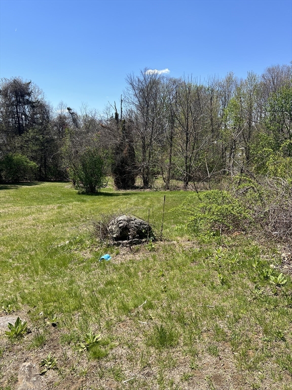 67 Ross Ave Property Photo 10