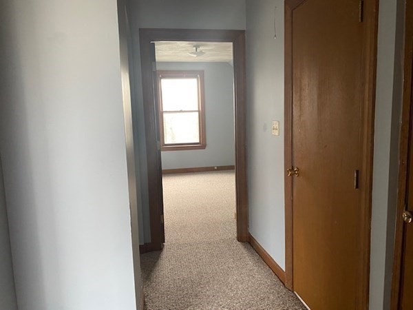 6 Richmond Park Property Photo 25
