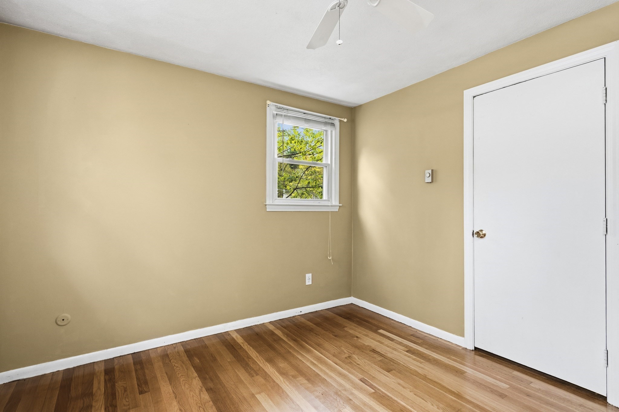 19 Macintosh Ave Property Photo 16