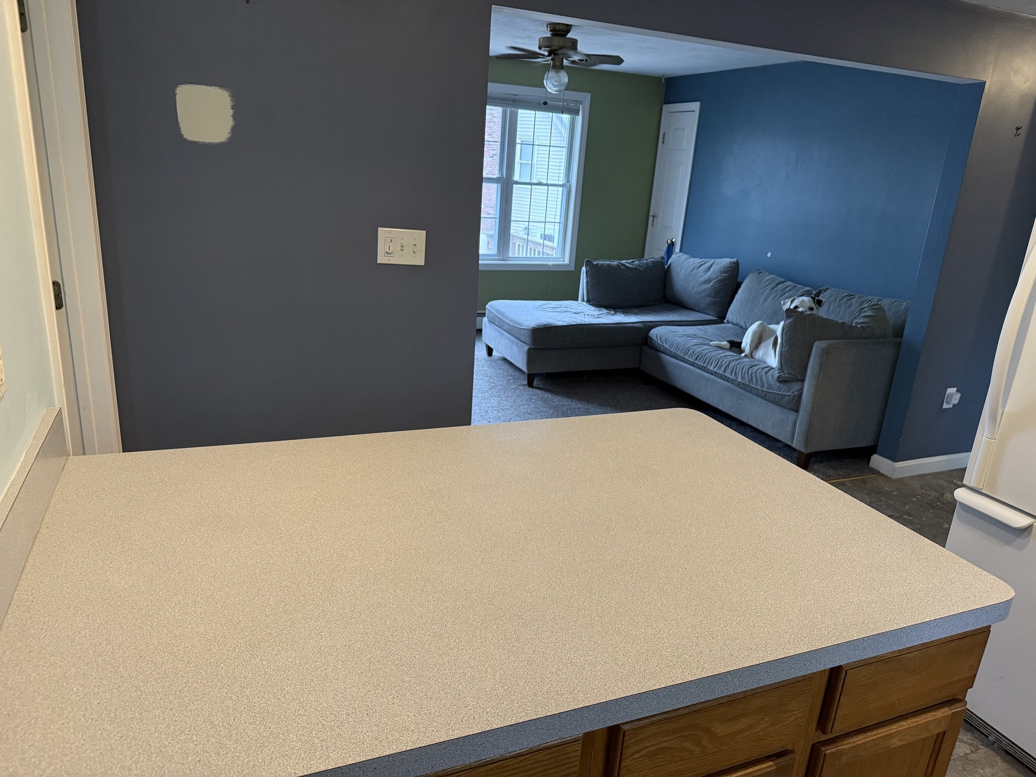 18 A St Property Photo 4