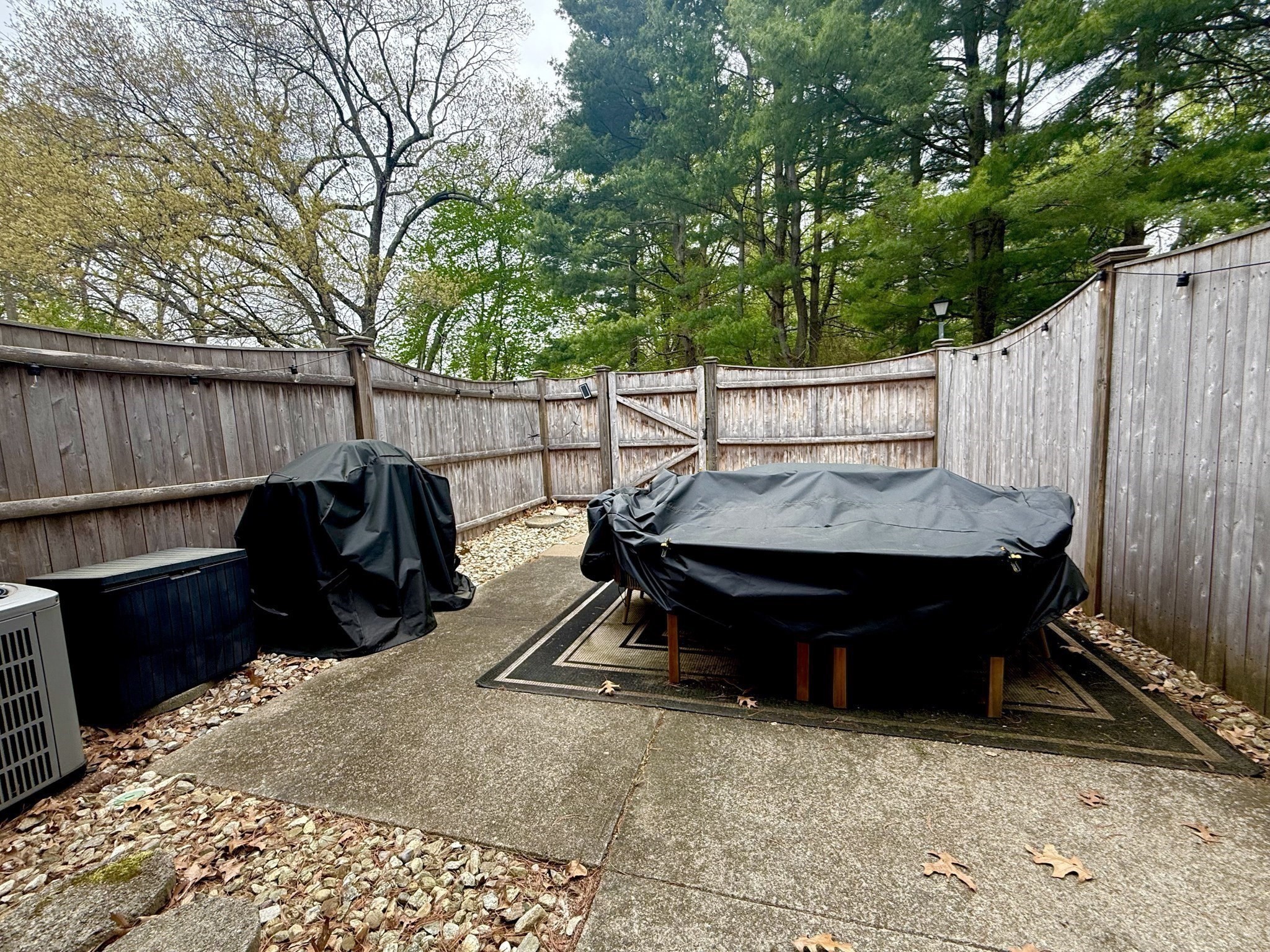 115 Jamestown Drive # 115 Property Photo 28