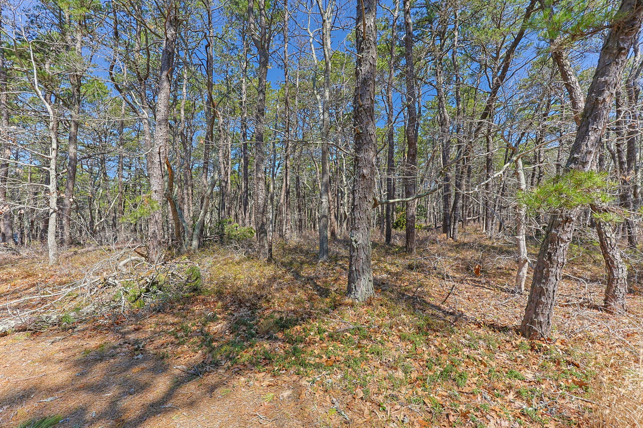 175 Delphi Path Property Photo 2
