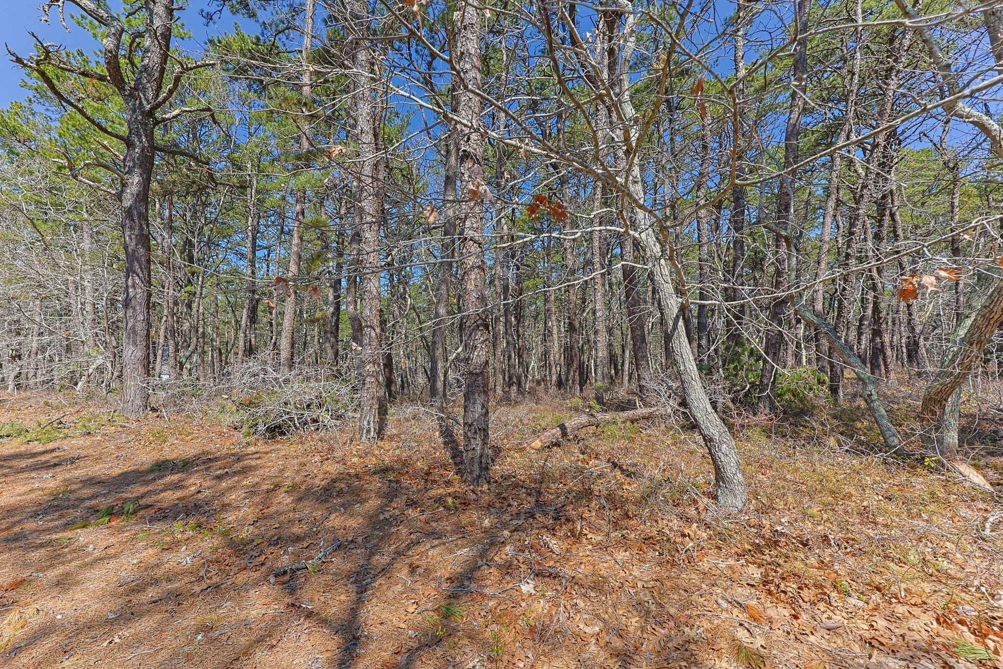 175 Delphi Path Property Photo 3