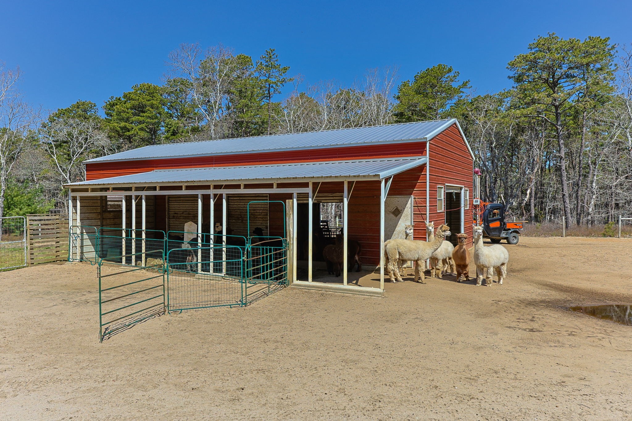 175 Delphi Path Property Photo 4