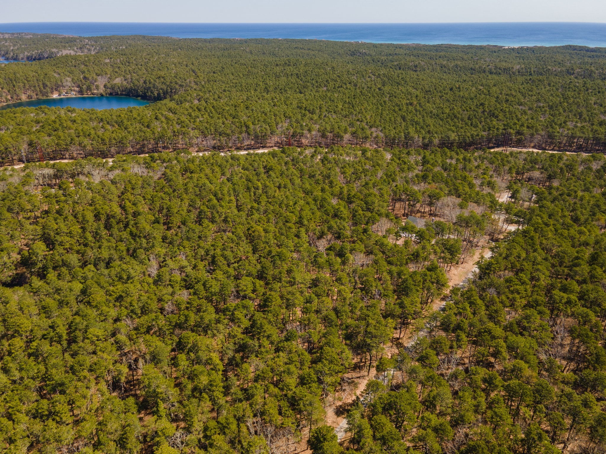 175 Delphi Path Property Photo 6