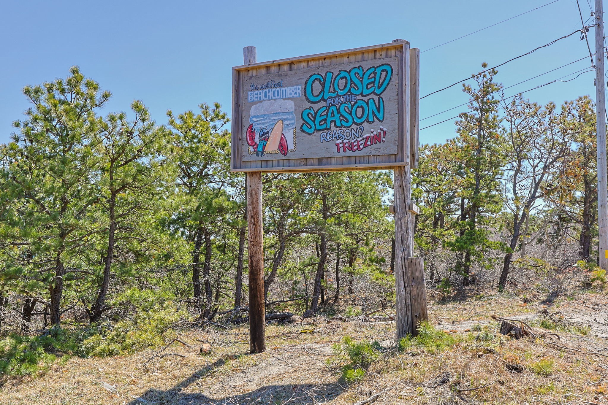 175 Delphi Path Property Photo 13