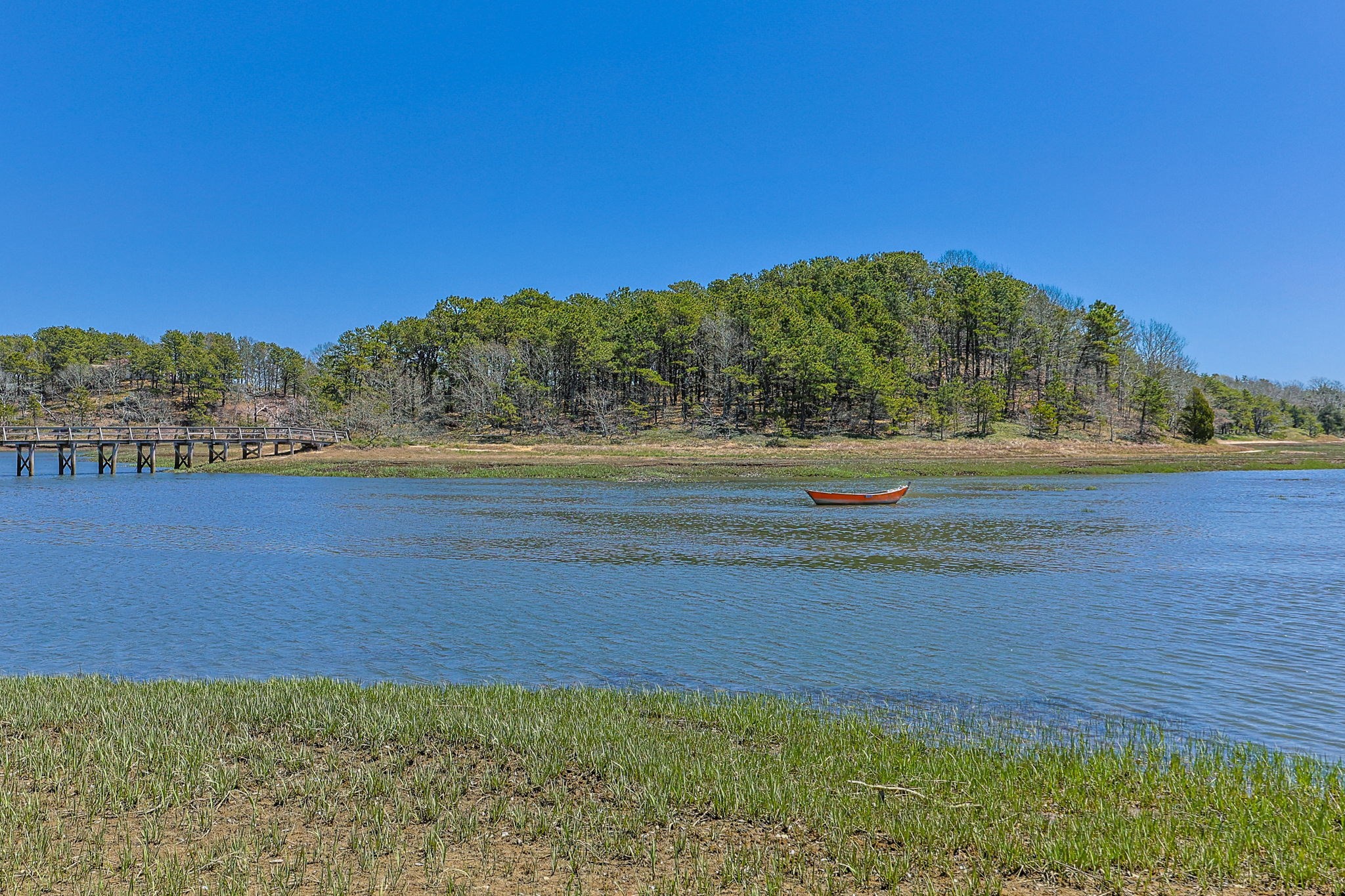 175 Delphi Path Property Photo 33