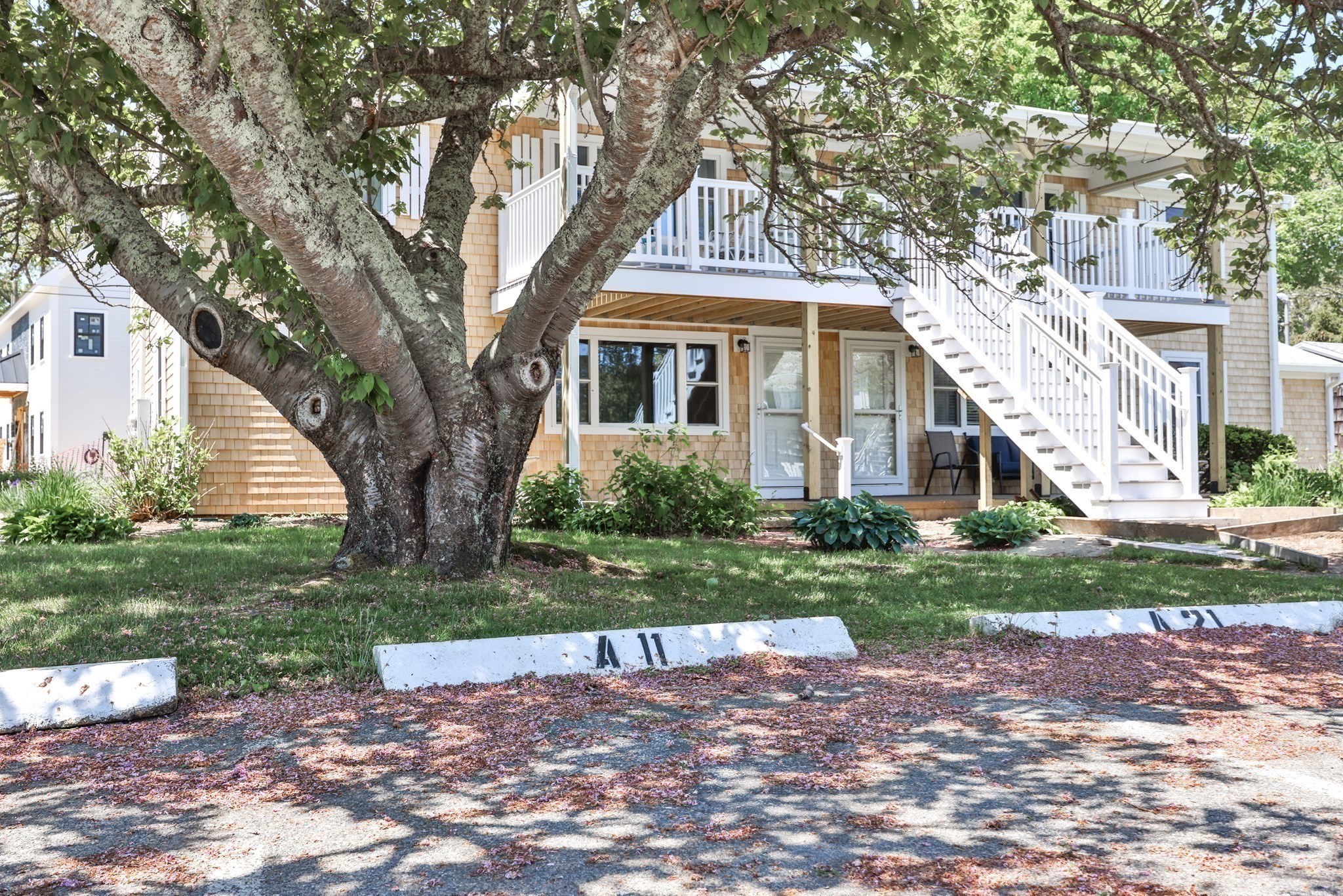 124 Skiff Avenue # 11 Property Photo 23