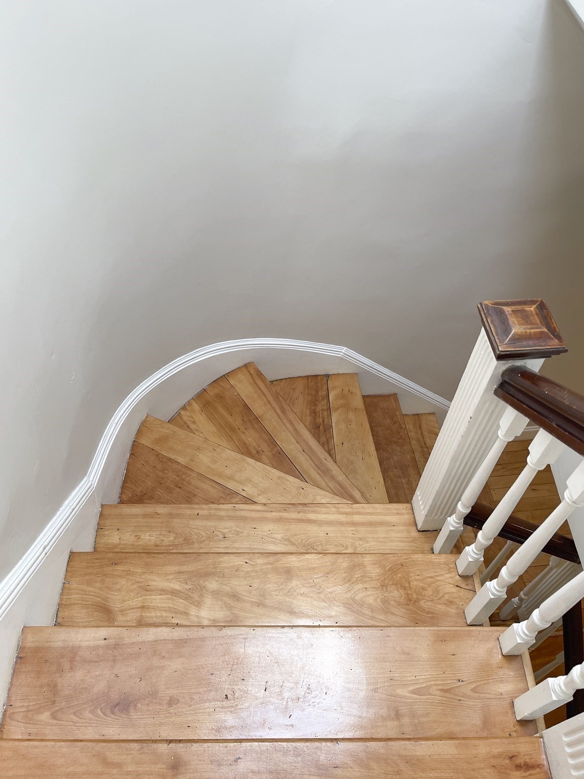 1767 Commonwealth Ave # 3 Property Photo 16