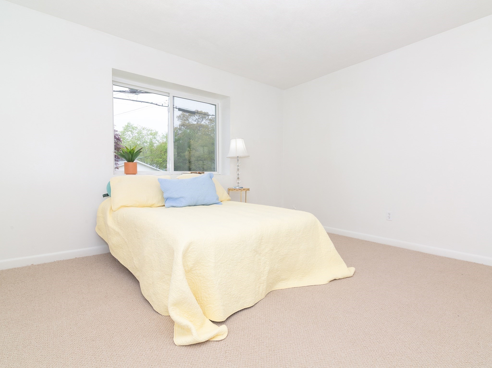 137 Winthrop St # 12a Property Photo 11