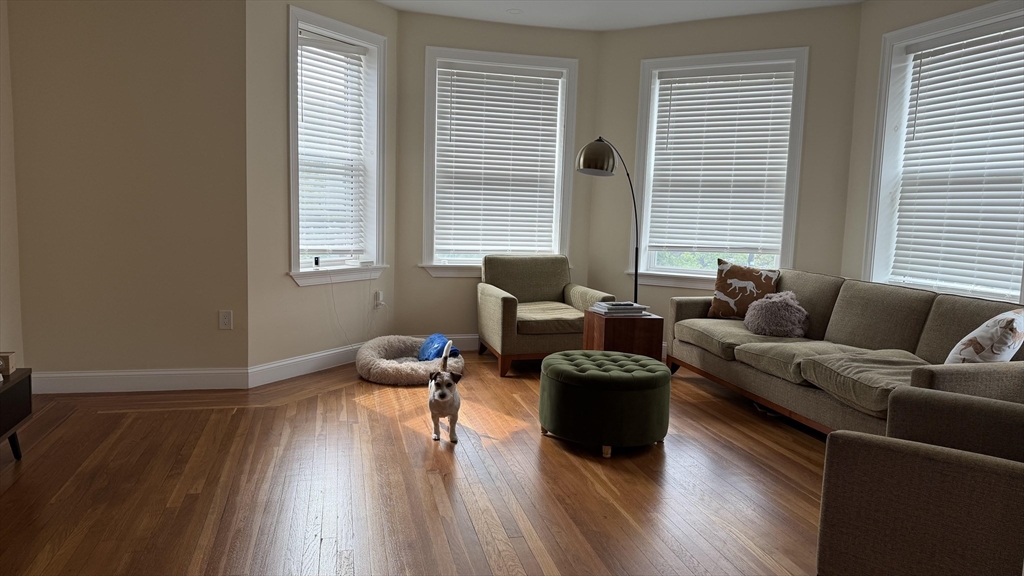 3 Alton # 2 Property Photo 1