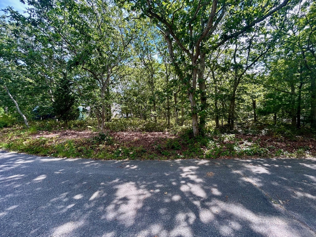 5 Candlemaker Circle Property Photo 5