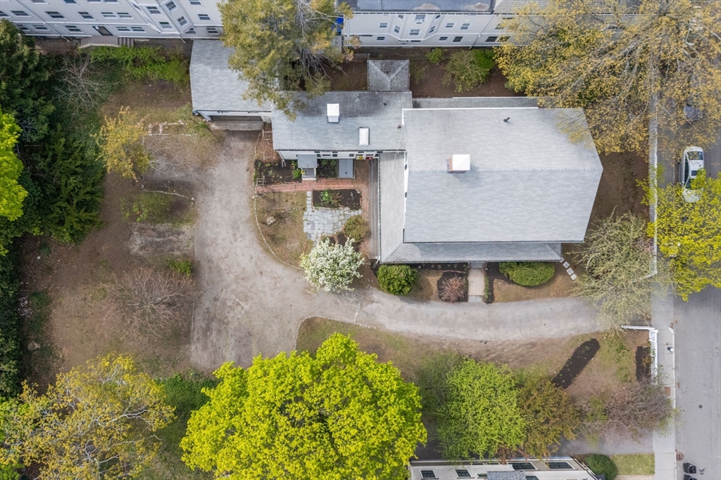 19 Linden Street Property Photo 32