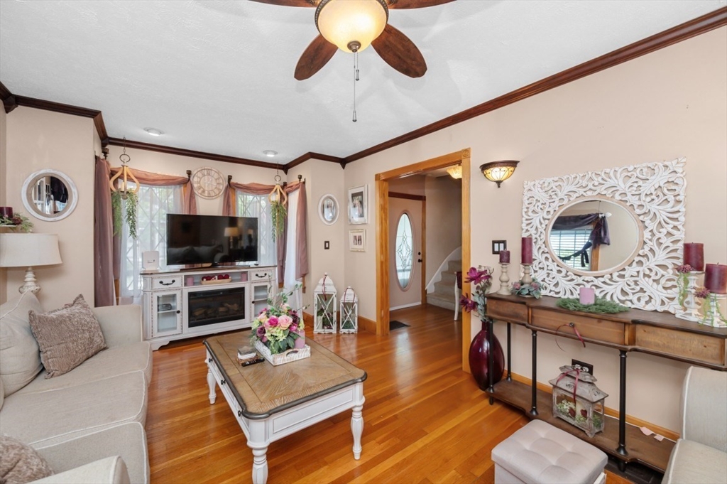24 Sylvia Street Property Photo 6