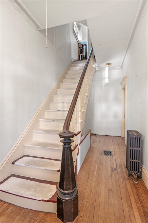 106 Ellery St Property Photo 16
